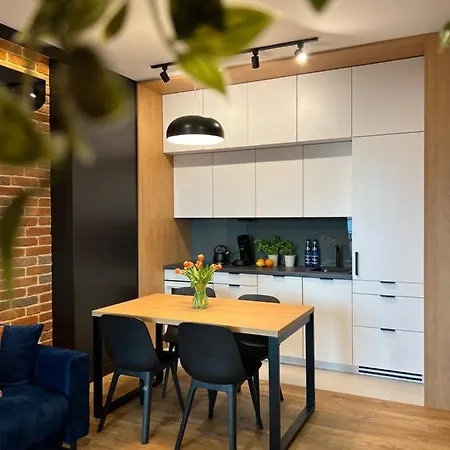 Lejlighed Apartament Mono 70 Masurian Ełk